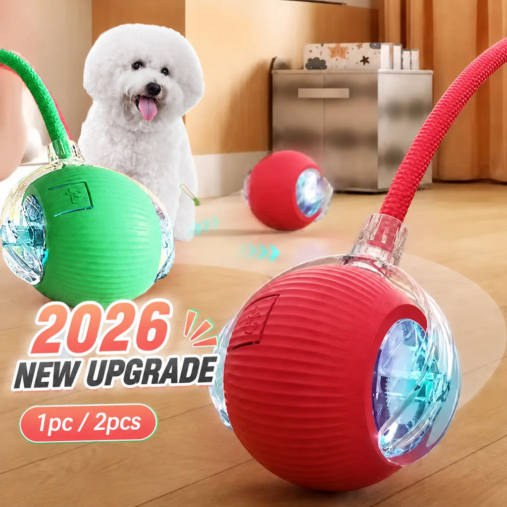 Automatic Rolling Dog Ball — Rechargeable Smart Toy