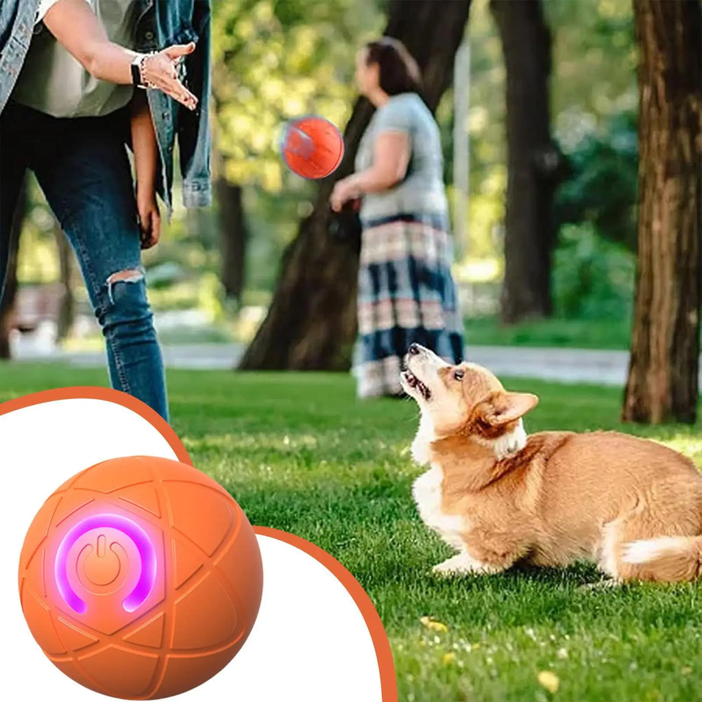 Smart Interactive Pet Toy Ball — USB Rechargeable Moving Ball