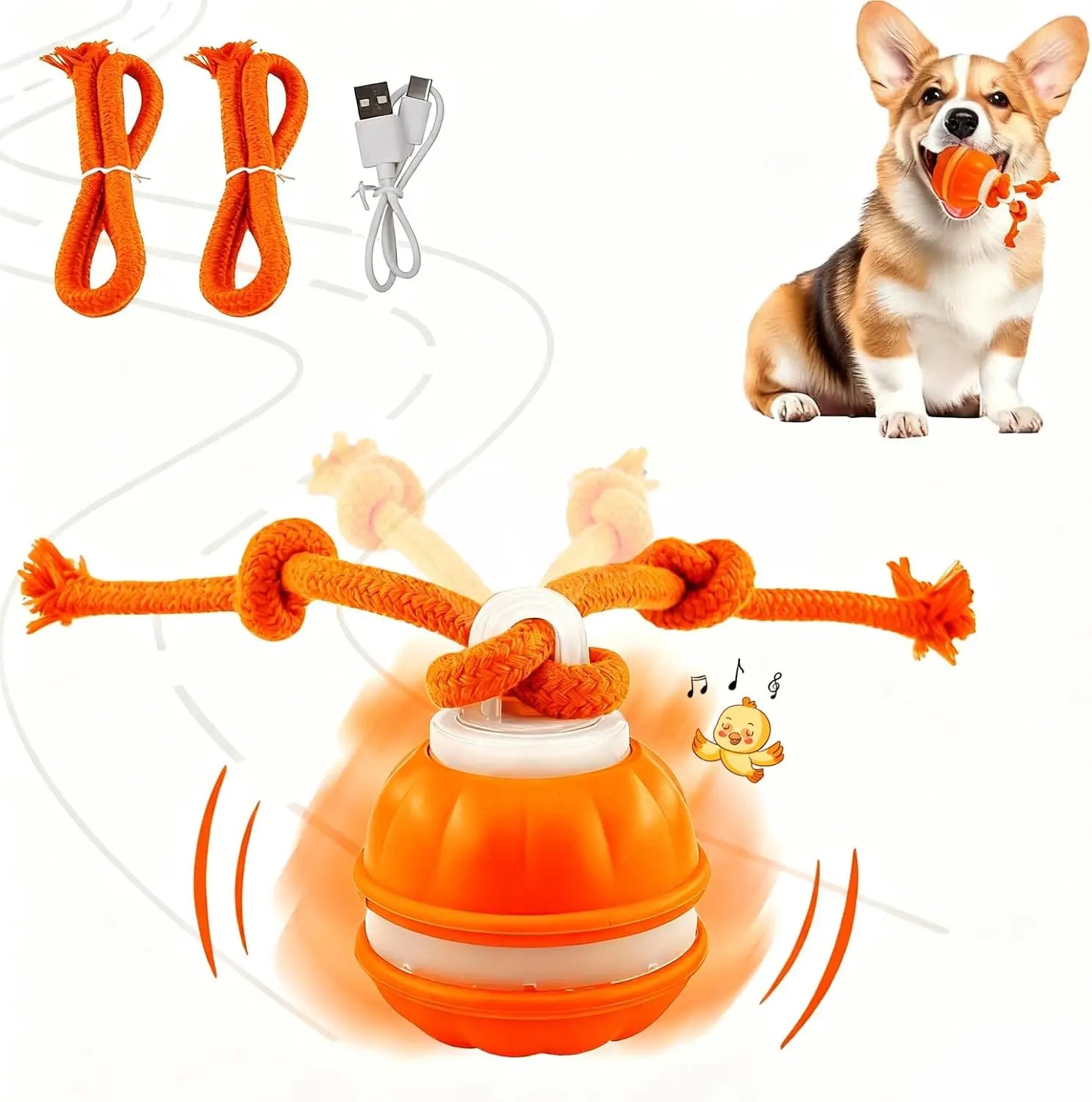 Interactive Dog Toy Ball with Rope — Motion Activated
