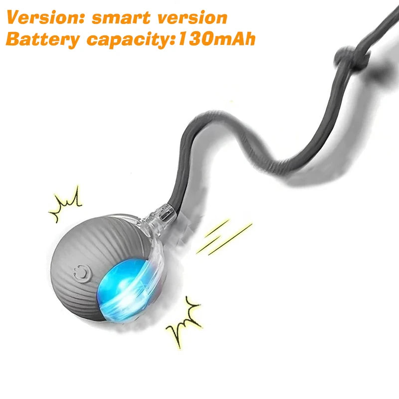 Automatic Rolling Dog Ball — Rechargeable Smart Toy