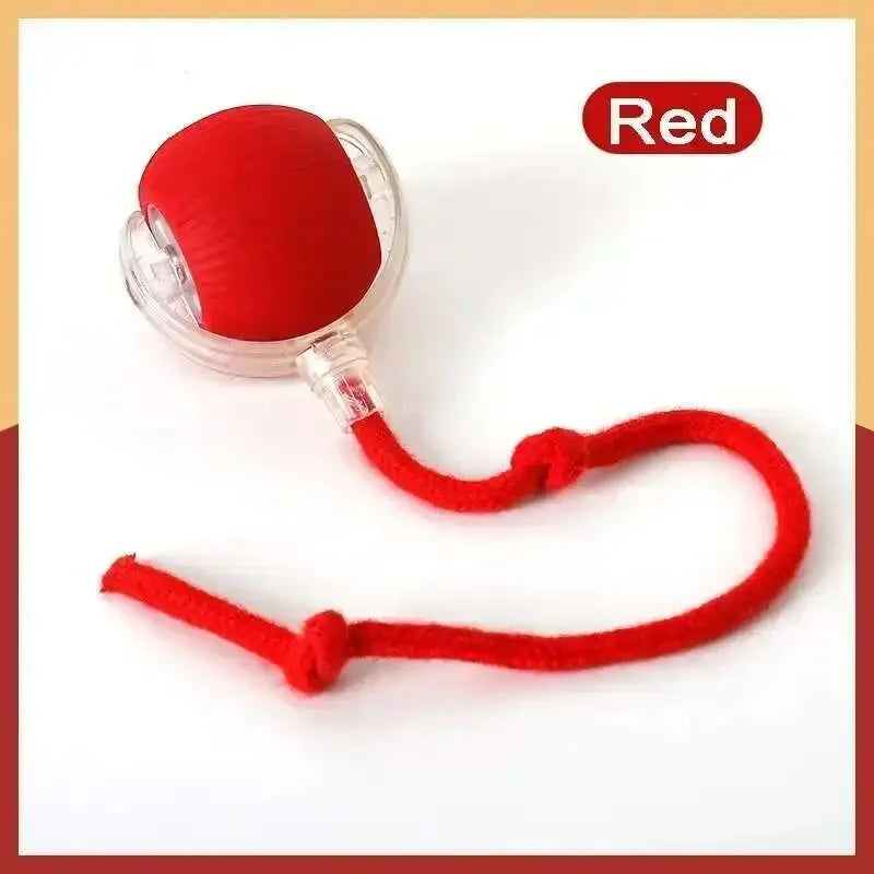 Smart RGB Interactive Toy Ball — USB Rechargeable