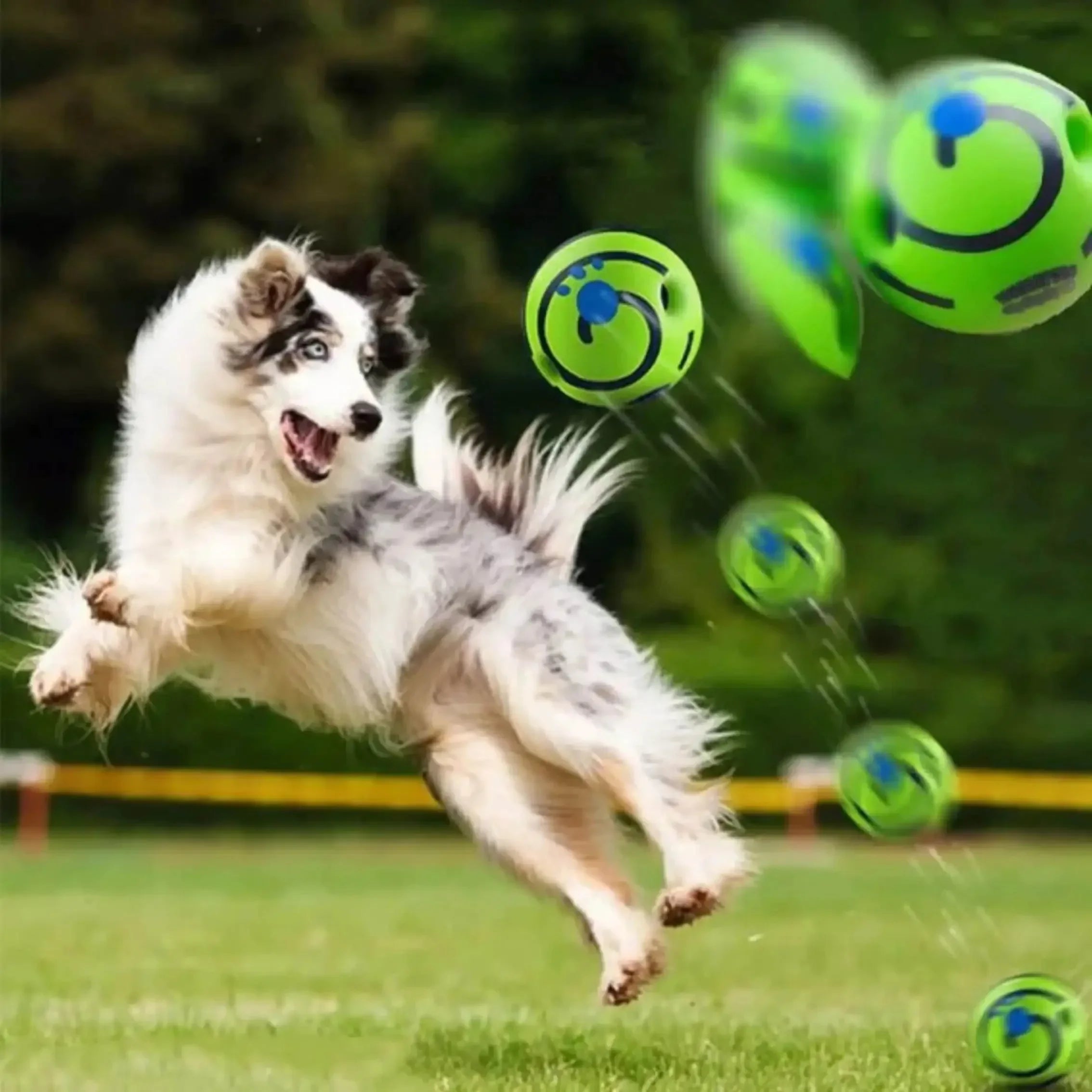 Funny Giggle Ball — IQ Training Toy for Dogs