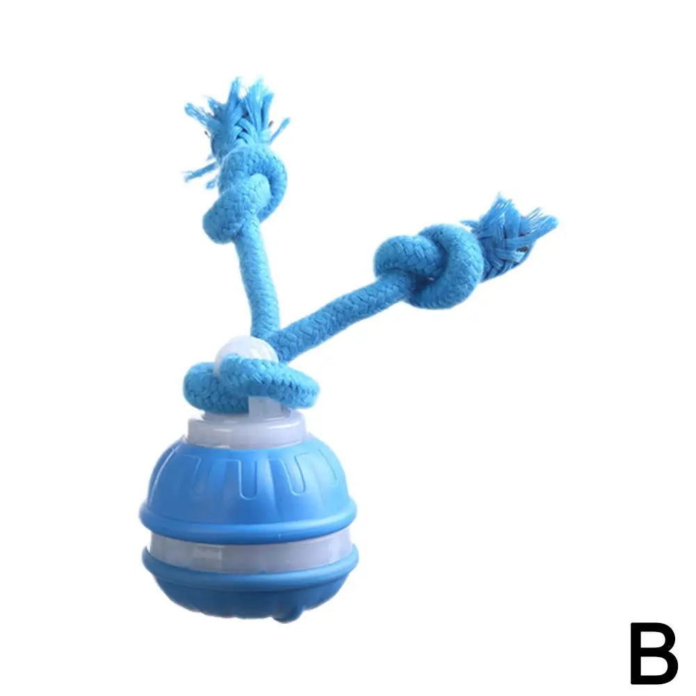 Interactive Dog Toy Ball with Rope — Motion Activated