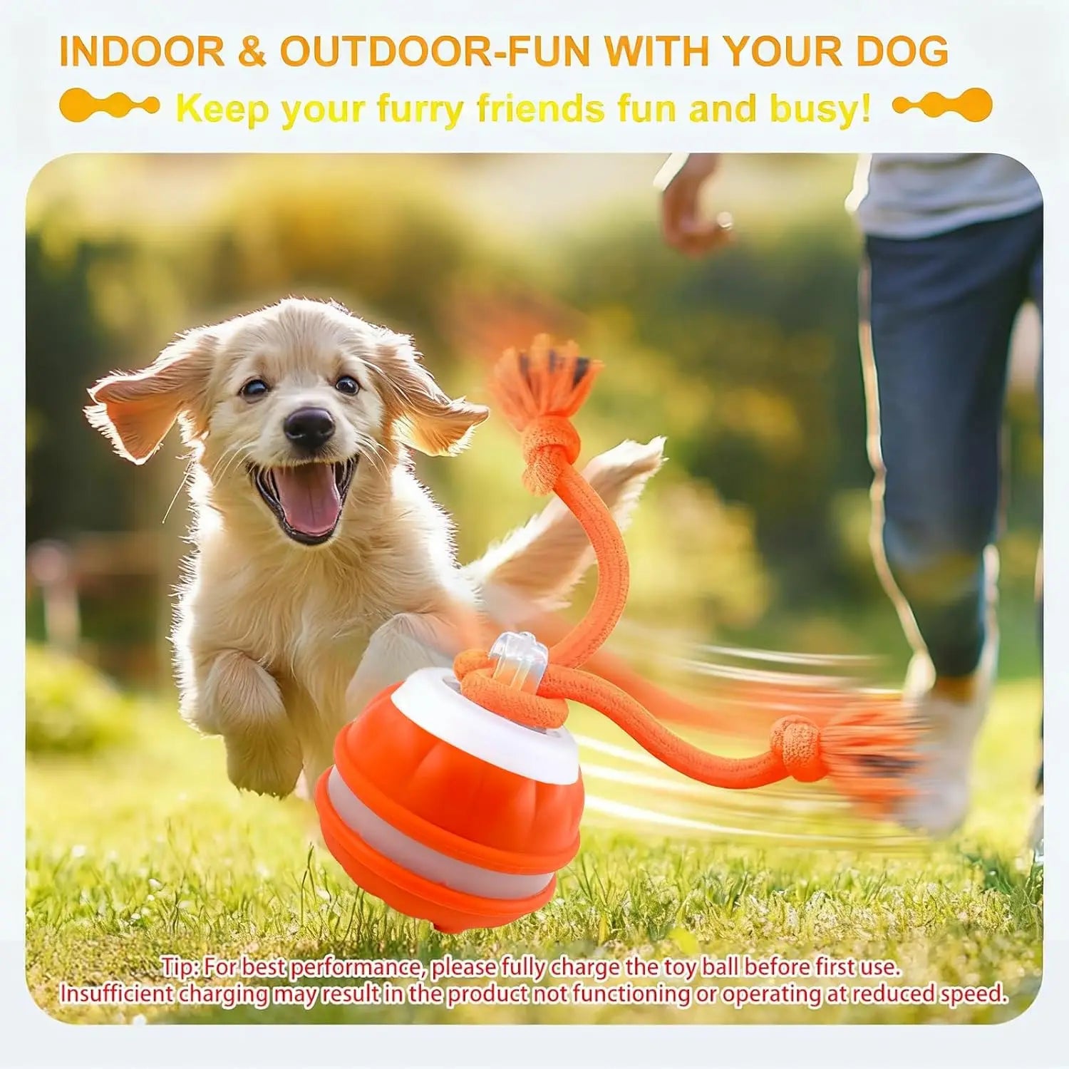 Interactive Dog Toy Ball with Rope — Motion Activated
