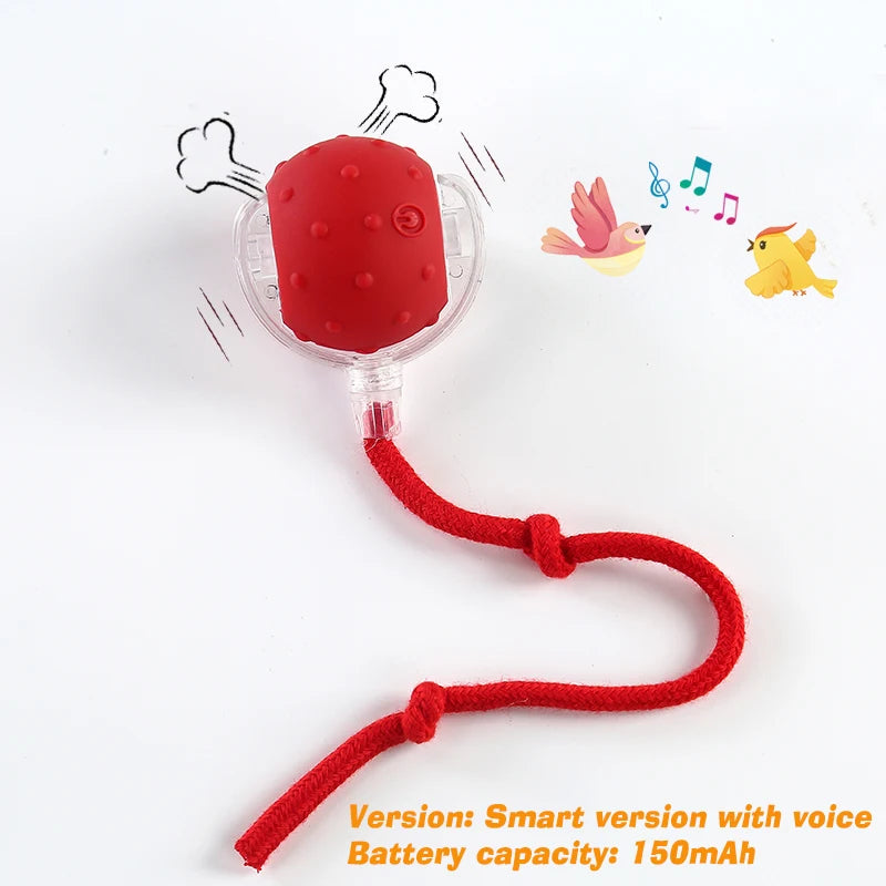 Automatic Rolling Dog Ball — Rechargeable Smart Toy