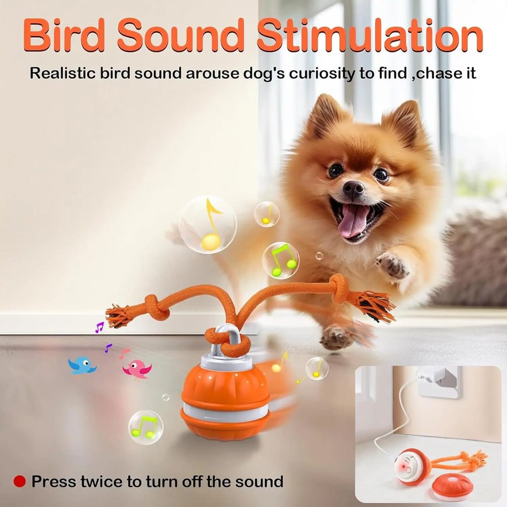 Interactive Dog Toy Ball with Rope — Motion Activated