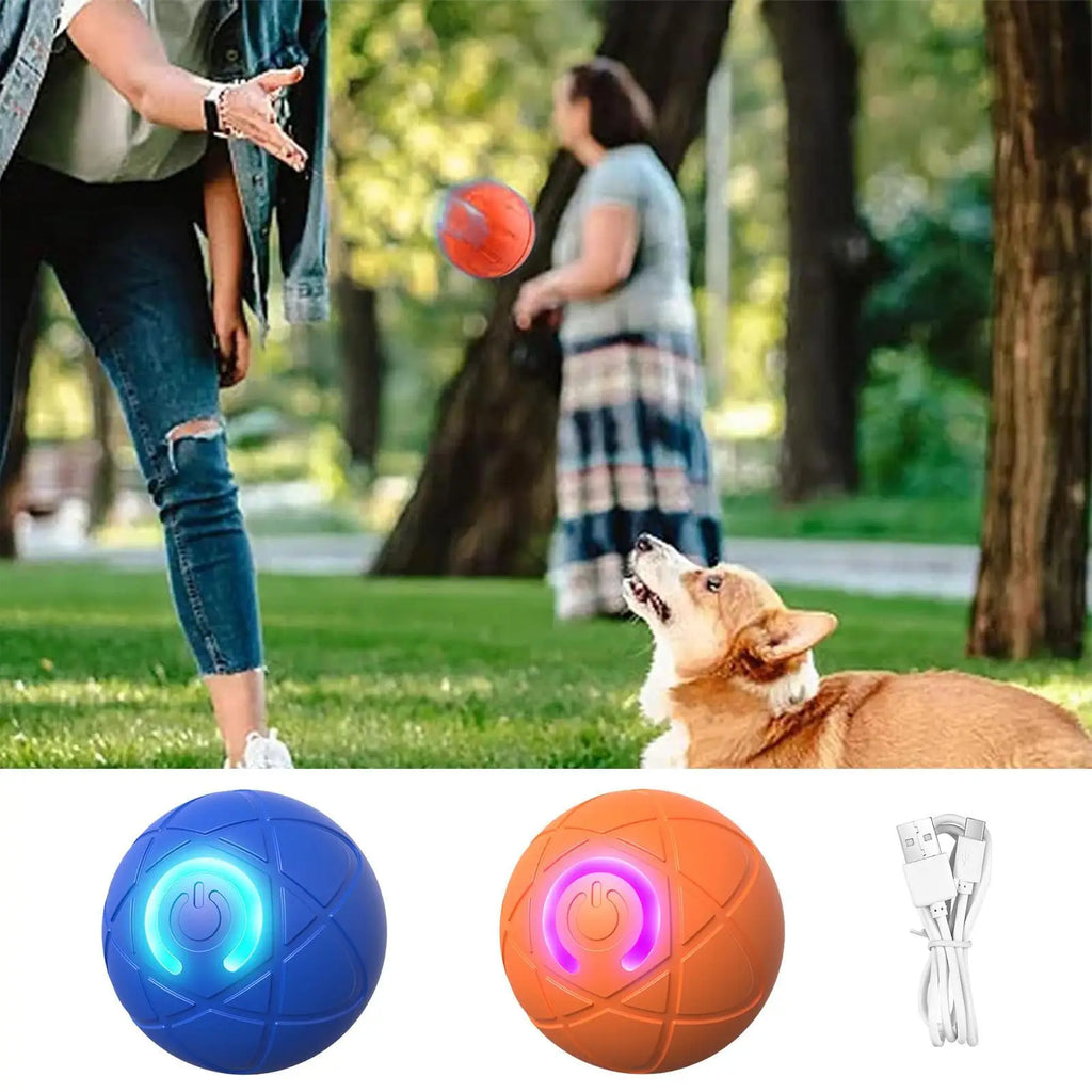 Smart Interactive Pet Toy Ball — USB Rechargeable Moving Ball