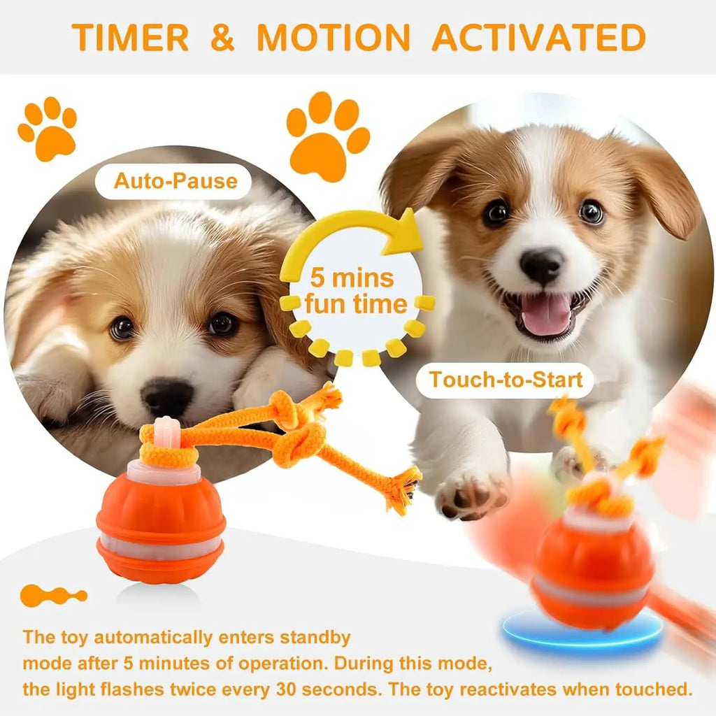 Interactive Dog Toy Ball with Rope — Motion Activated