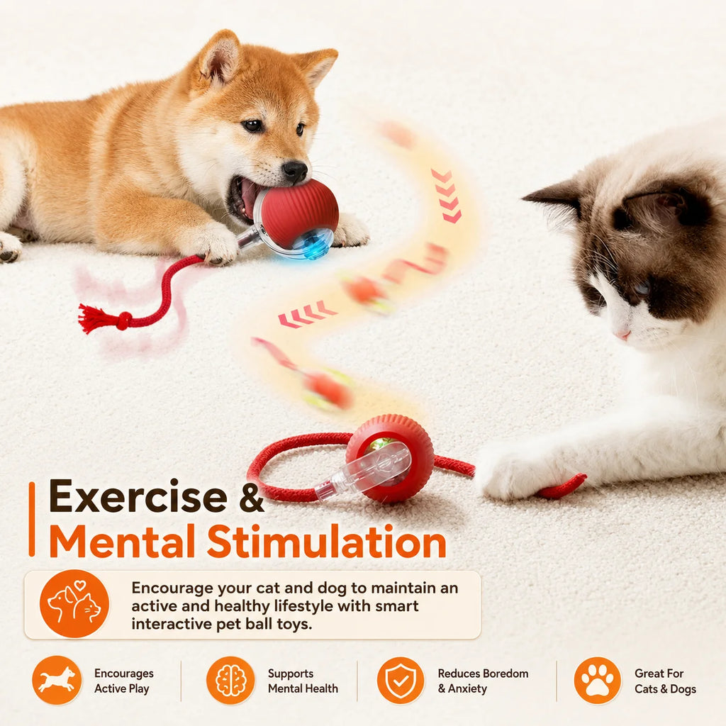 Automatic Rolling Dog Ball — Rechargeable Smart Toy