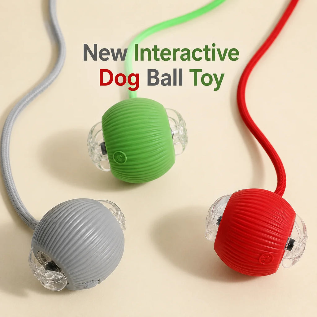 Automatic Rolling Dog Ball — Rechargeable Smart Toy